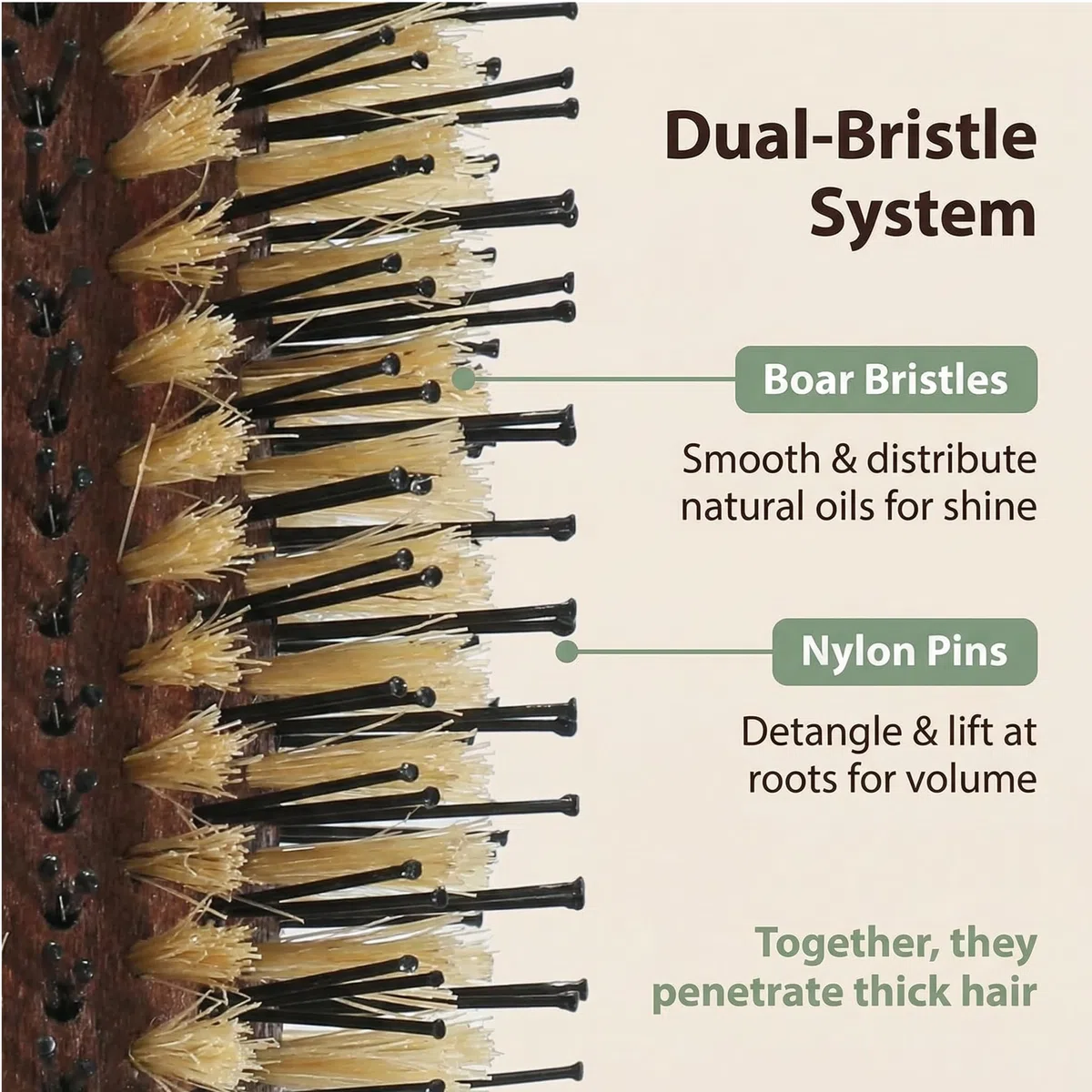 Brosse à cheveux ronde avec manche en liège, poils blancs, séchage thermique professionnel
